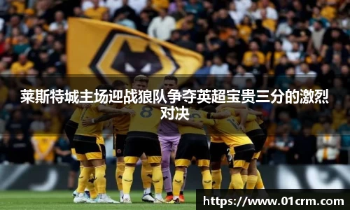 莱斯特城主场迎战狼队争夺英超宝贵三分的激烈对决