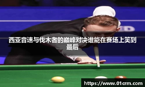 zoty中欧